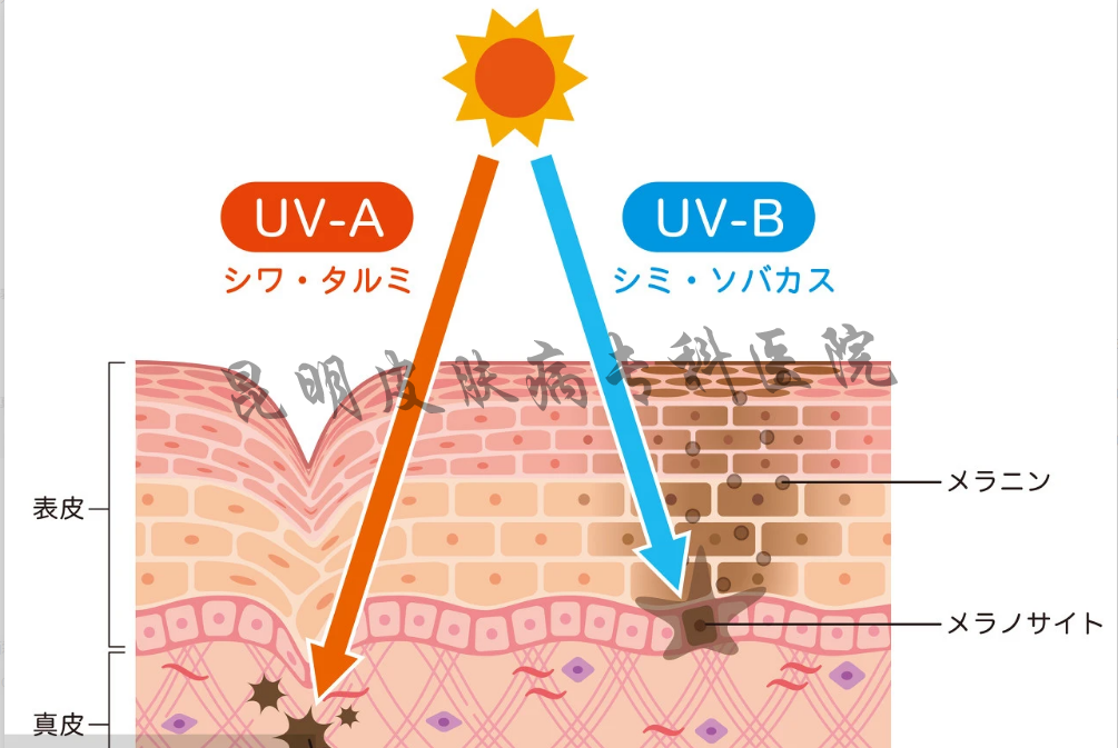 1630889392199135.png 3063319dfcfc6f33fd56e8830f9f35c.png